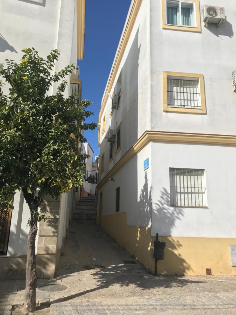 Apartamento !!Vive Jerez!! Jerez de la Frontera Ngoại thất bức ảnh