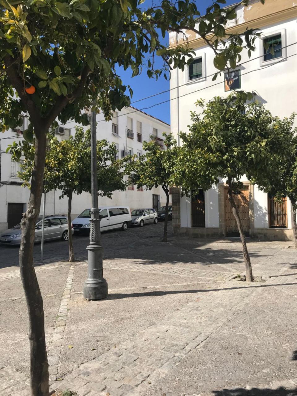 Apartamento !!Vive Jerez!! Jerez de la Frontera Ngoại thất bức ảnh